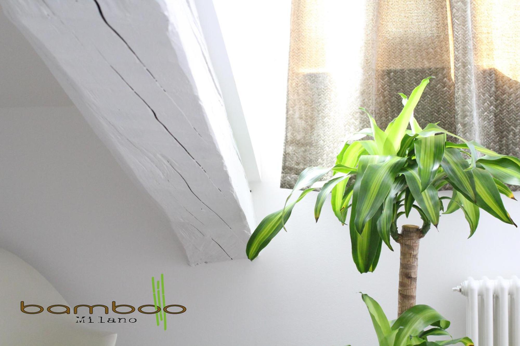 Апартаменти Bamboo Milano Isonzo Екстер'єр фото